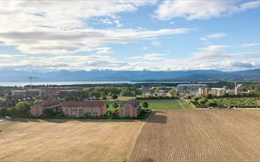 Möbl. Wohnobj. 3.5 Zimmer - image - 5