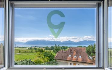 Einfamilienhaus 7.5 Zimmer - image - 8