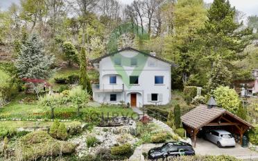 Einfamilienhaus 6.5 Zimmer - image - 1