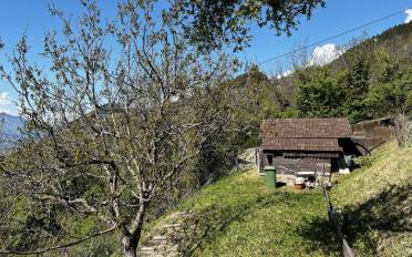 Villa 8 Zimmer - image - 8