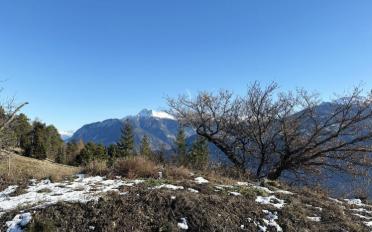 Bauland - image - 4