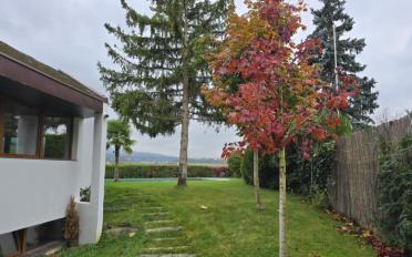 Villa 9 Zimmer - image - 12