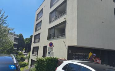 Wohnung 2.5 Zimmer - image - 1
