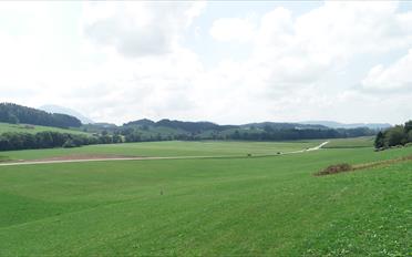 Maison contiguë 4.5 pièces - image - 19