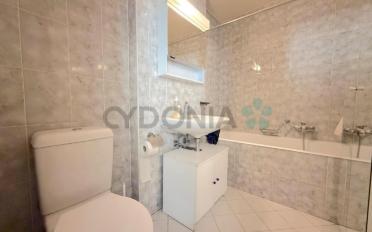 Attic flat 6 rooms - image - 9