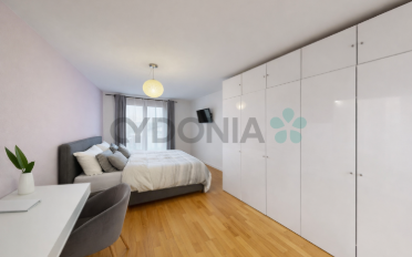 Attic flat 5 rooms - image - 6