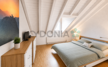 Duplex 3.5 Zimmer - image - 9