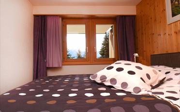 Apartment - image - 7