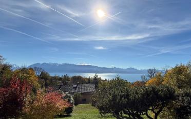 Villa - image - 3