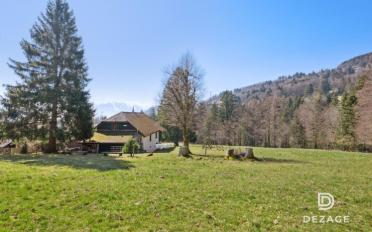 Single house 15 rooms - image - 12