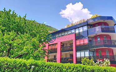 Apartment 2.5 rooms - image - 1