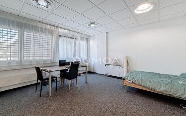 Apartment 7.5 rooms - image - 4