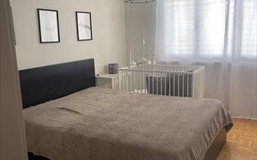 Apartment 2.5 rooms - image - 4