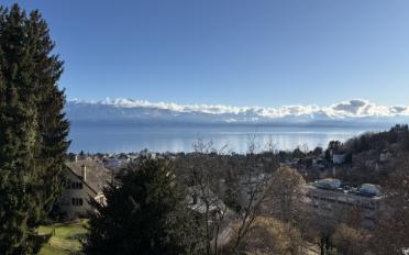 Wohnung 3.5 Zimmer - image - 1