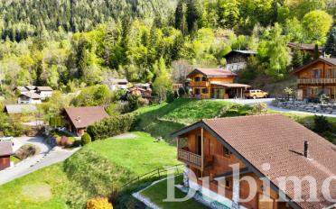 Chalet 4.5 Zimmer - image - 8