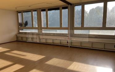 Atelier ein Zimmer - image - 2