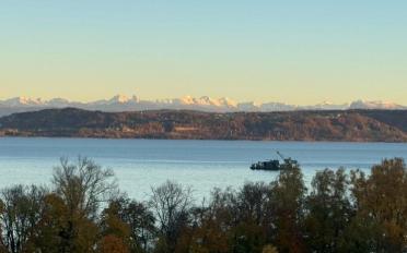 Doppeleinfamilienhaus 5.5 Zimmer - image - 3