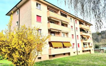 Wohnung 3.5 Zimmer - image - 5