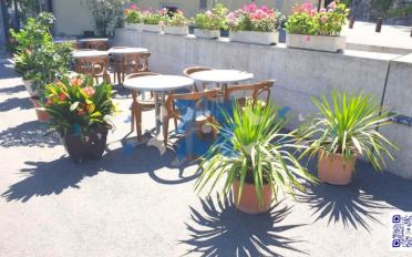 Bar 1 pièce - image - 2