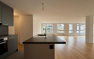 Appartement 4.5 pièces - image - 2