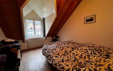 Terrace flat 5.5 rooms - image - 17