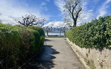 Einfamilienhaus 6 Zimmer - image - 5