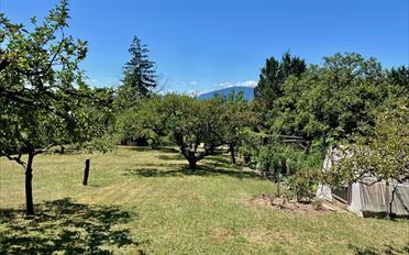 Single house 5 rooms - image - 13