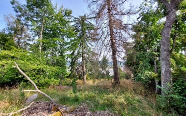 Terrain à bâtir - image - 3