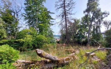 Terrain à bâtir - image - 4