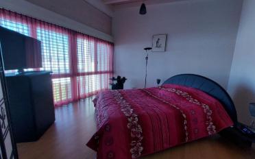 Maison jumelée - image - 9