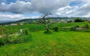 Einfamilienhaus 4.5 Zimmer - image - 4