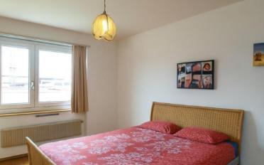Appartement - image - 4