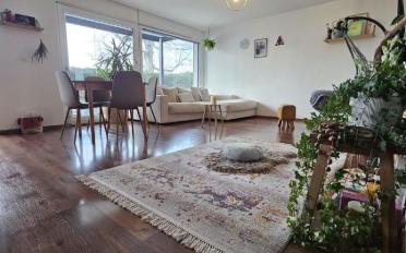 Wohnung 3.5 Zimmer - image - 4