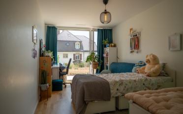 Wohnung 4.5 Zimmer - image - 11