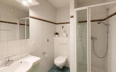 Villa 5.5 pièces - image - 12