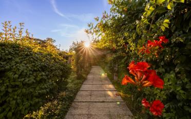 Maison 10 pièces - image - 2