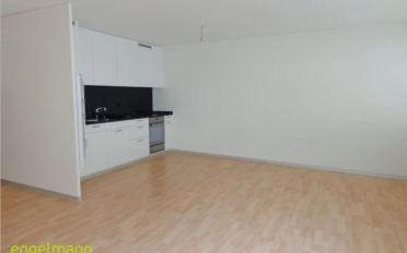 Appartement 3.5 pièces - image - 2