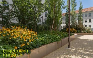 Wohnung 3.5 Zimmer - image - 7