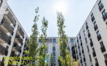 Wohnung 3.5 Zimmer - image - 8