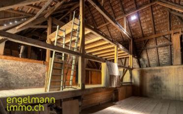 Einfamilienhaus - image - 12