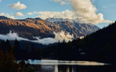 Wohnung 3.5 Zimmer - image - 4