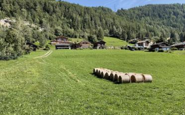 Chalet 4 Zimmer - image - 12