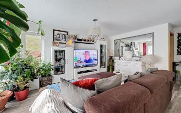 Wohnung 3.5 Zimmer - image - 7