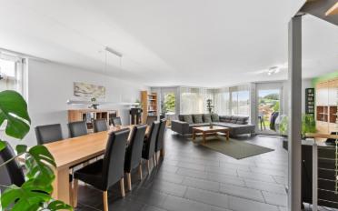 Doppeleinfamilienhaus 5.5 Zimmer - image - 2