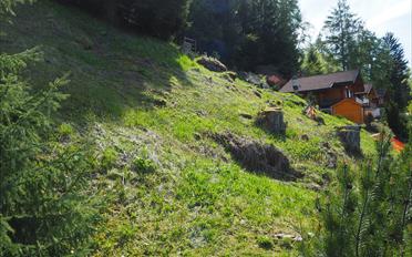 Building land - image - 11