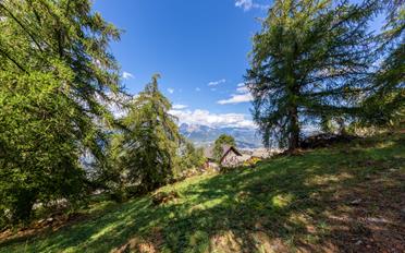 Chalet 8.5 pièces - image - 1
