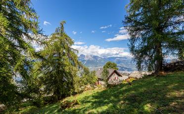Chalet 8.5 pièces - image - 6