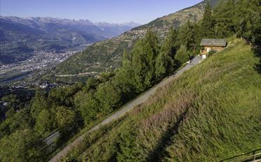 Terrain à bâtir - image - 1