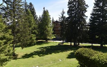 Appartement - image - 6