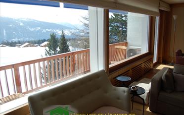 Appartement - image - 3